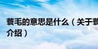 蓑毛的意思是什么(關于蓑毛的意思是什么的介紹)