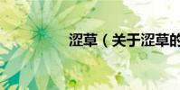 澀草(關于澀草的介紹)