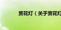 賞花燈(關于賞花燈的介紹)