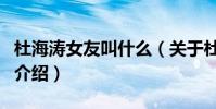 杜海濤女友叫什么(關于杜海濤女友叫什么的介紹)