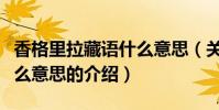 香格里拉藏語什么意思(關于香格里拉藏語什么意思的介紹)