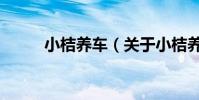 小桔養車(關于小桔養車的介紹)