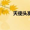 天使頭發（關于天使頭發的介紹）
