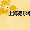 上海德爾福（關于上海德爾福的介紹）