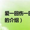 愛一回傷一回 呂方（關于愛一回傷一回 呂方的介紹）