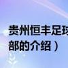 貴州恒豐足球俱樂部（關于貴州恒豐足球俱樂部的介紹）