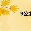 9公主（關于9公主的介紹）