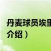 丹麥球員埃里克森（關于丹麥球員埃里克森的介紹）