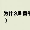 為什么叫黃牛黨（關于為什么叫黃牛黨的介紹）