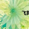 飛算（關于飛算的介紹）