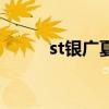 st銀廣夏（關于st銀廣夏的介紹）
