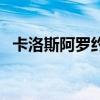 卡洛斯阿羅約（關于卡洛斯阿羅約的介紹）