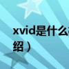 xvid是什么格式（關于xvid是什么格式的介紹）