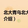 北大青鳥北大公學（關于北大青鳥北大公學的介紹）