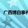 廣西博白事件（關于廣西博白事件的介紹）