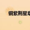 銅紫荊星章（關于銅紫荊星章的介紹）
