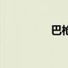 巴槍（關于巴槍的介紹）