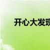 開心大發現（關于開心大發現的介紹）