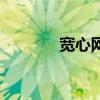 寬心網（關于寬心網的介紹）