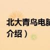 北大青鳥電腦學校（關于北大青鳥電腦學校的介紹）
