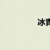 冰青（關于冰青的介紹）