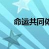 命運共同體（關于命運共同體的介紹）