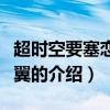 超時空要塞戀離飛翼（關于超時空要塞戀離飛翼的介紹）