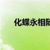 化蝶永相隨（關于化蝶永相隨的介紹）