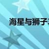 海星與獅子3（關于海星與獅子3的介紹）