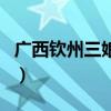 廣西欽州三娘灣（關于廣西欽州三娘灣的介紹）