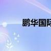 鵬華國際（關于鵬華國際的介紹）