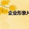 企業形象片（關于企業形象片的介紹）