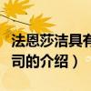 法恩莎潔具有限公司（關于法恩莎潔具有限公司的介紹）
