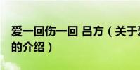 愛一回傷一回 呂方(關于愛一回傷一回 呂方的介紹)