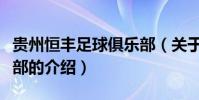貴州恒豐足球俱樂部(關于貴州恒豐足球俱樂部的介紹)