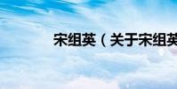宋組英(關于宋組英的介紹)