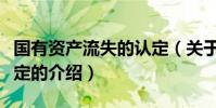 國有資產流失的認定(關于國有資產流失的認定的介紹)
