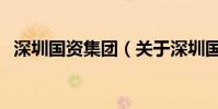 深圳國資集團(關于深圳國資集團的介紹)