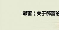 郝蕾(關于郝蕾的介紹)