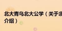 北大青鳥北大公學(關于北大青鳥北大公學的介紹)