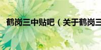 鶴崗三中貼吧(關于鶴崗三中貼吧的介紹)
