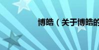 博皓(關于博皓的介紹)