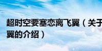 超時空要塞戀離飛翼(關于超時空要塞戀離飛翼的介紹)