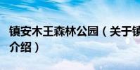 鎮安木王森林公園(關于鎮安木王森林公園的介紹)