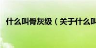 什么叫骨灰級(關于什么叫骨灰級的介紹)