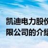 凱迪電力股份有限公司（關于凱迪電力股份有限公司的介紹）