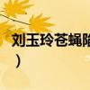 劉玉玲蒼蠅陷阱（關于劉玉玲蒼蠅陷阱的介紹）