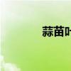 蒜苗葉子發黃怎么辦（蒜苗）