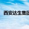 西安達生集團（關于西安達生集團的介紹）