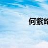 何紫綸（關于何紫綸的介紹）